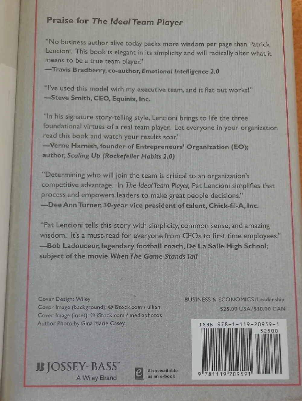 Dare to Lead - The Ideal Team Player Hardcover Books